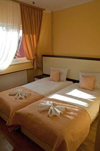 Отель Отель Пысанка Коломыя Двухместный номер с 1 кроватью или 2 отдельными кроватями-11