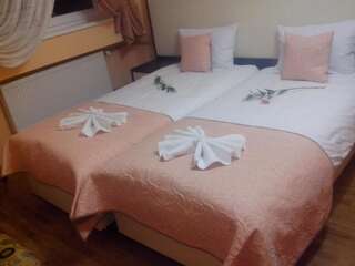 Отель Отель Пысанка Коломыя Двухместный номер с 1 кроватью или 2 отдельными кроватями-14